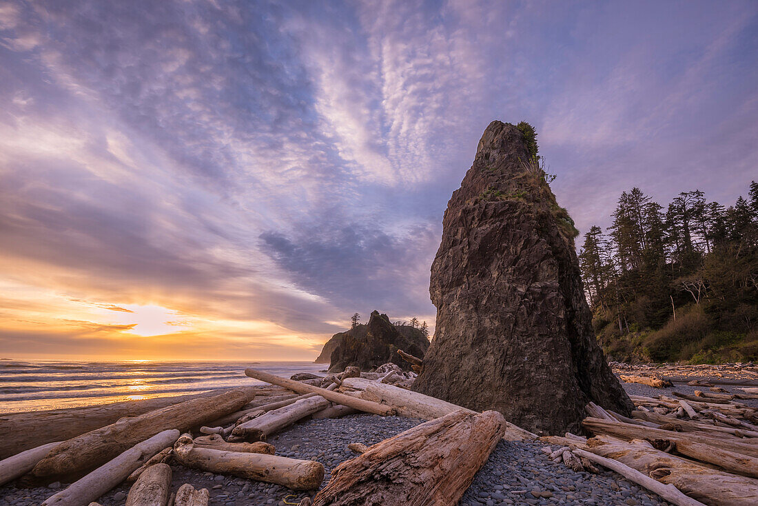 Driftwood, sea stack and sunset at Ruby Beach, Olympic National Park, Washington.