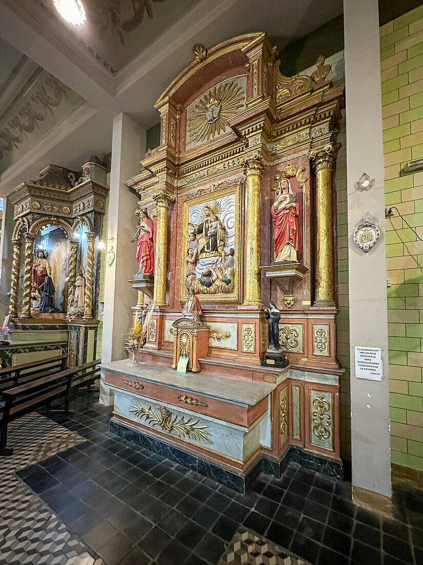 The Altar to the Virgin of Mount Carmel in Our Lady of Loreto Cathedral, Mendoza, Argentina.