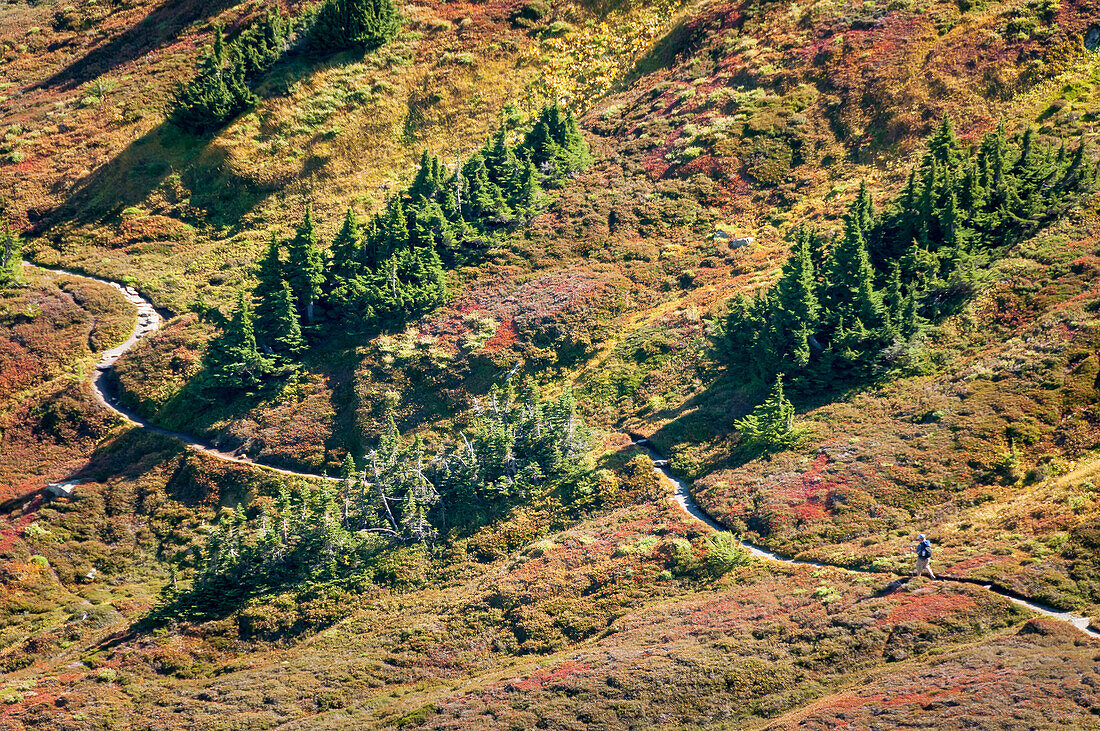Hiker on Sahale Arm Trail, Cascade Pass, North Cascades National Park, Washington.