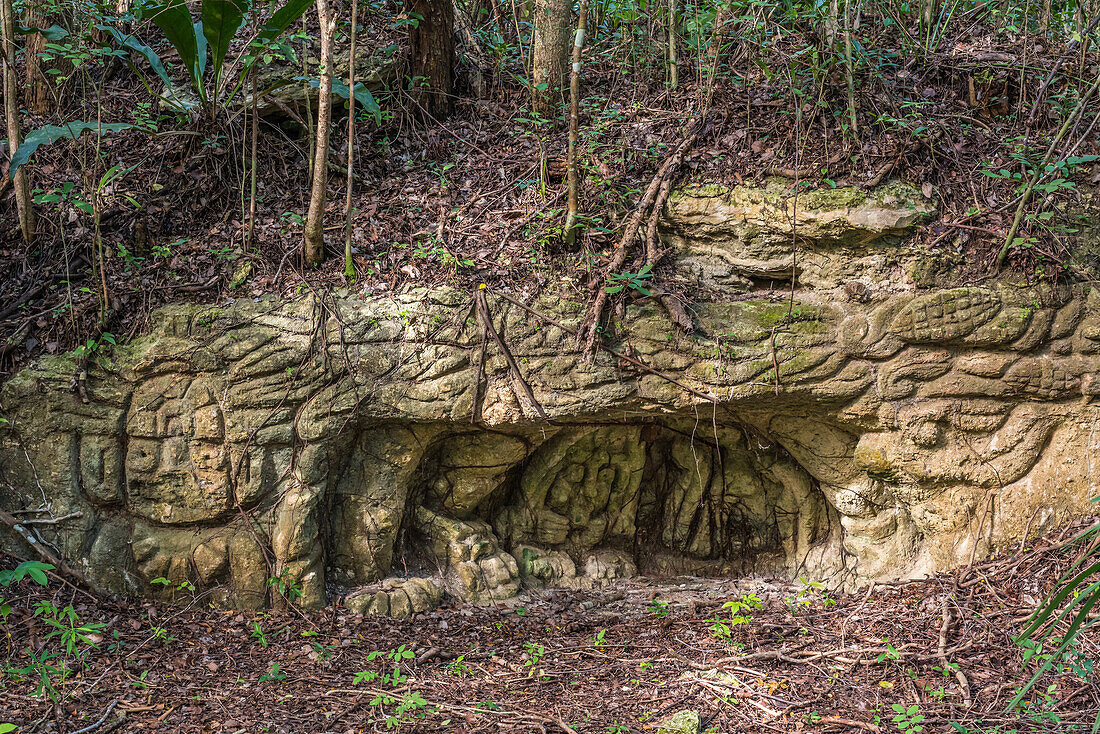 Sehr alte Steinmetzarbeiten in der Nähe der Ruinen der Maya-Stadt Muyil oder Chunyaxche im UNESCO-Biosphärenreservat Sian Ka'an in Quintana Roo, Mexiko.