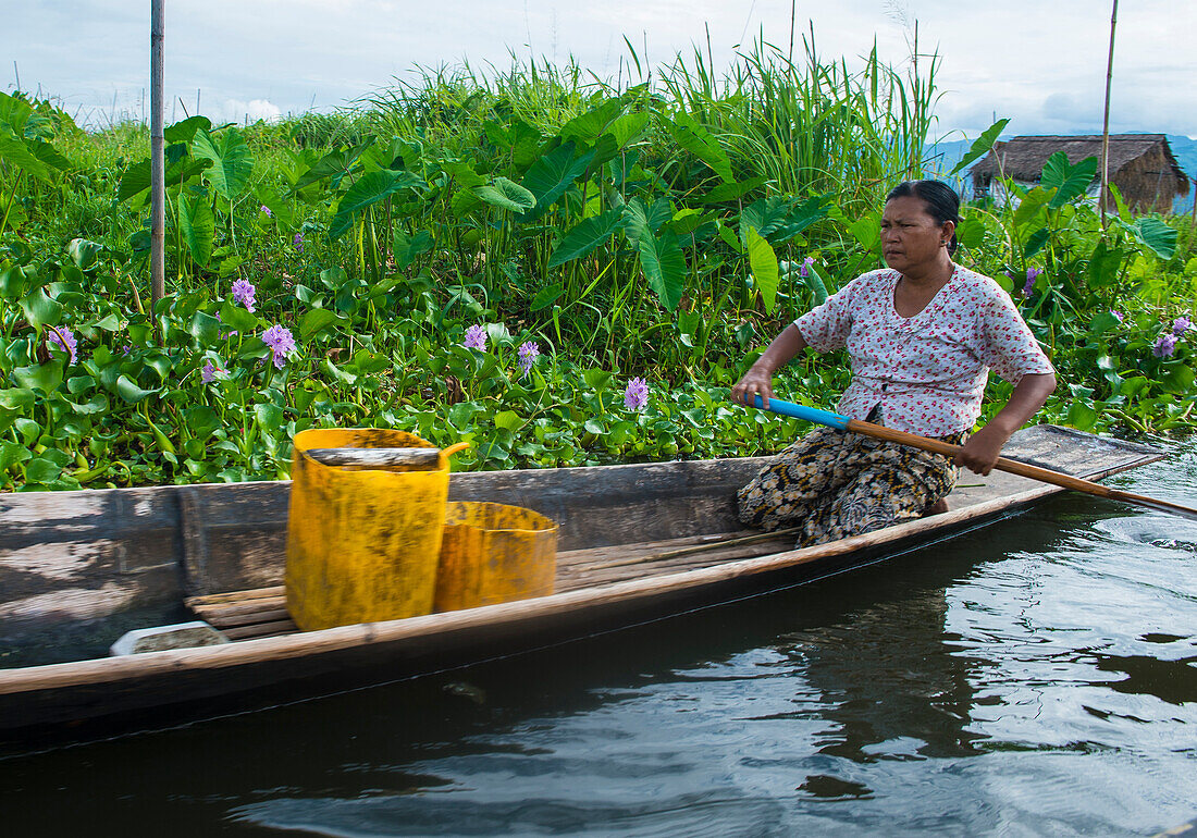 Intha man on his boat in Inle lake Myanmar on September 07 2017 , inle Lake is a freshwater lake located in Shan state