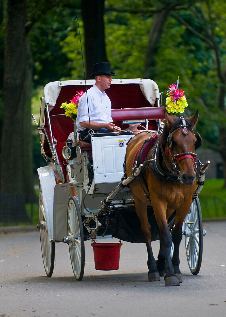 Eine Pferdekutsche fährt durch den Central Park in Manhattan.