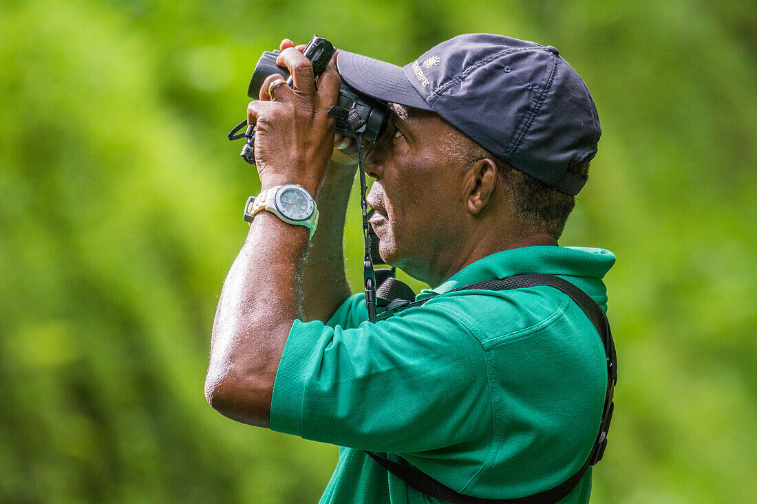 Birding and nature tour guide Newton George at Tobago Main Ridge Forest Reserve, a UNESCO World Heritage Site; Trinidad and Tobago.