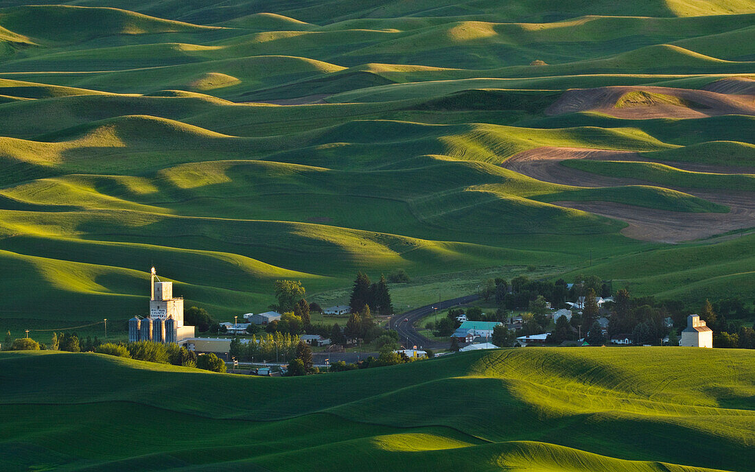 Weizenfelder im Palouse-Land und die Stadt Steptoe von Steptoe Butte, Washington.