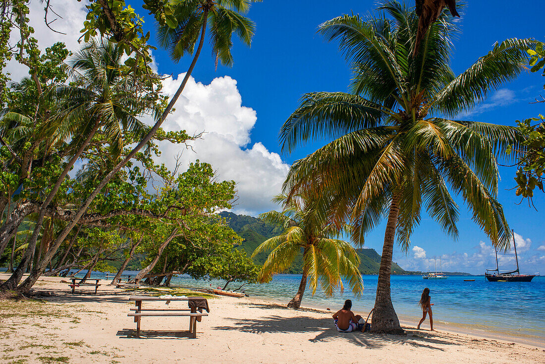 Öffentlicher Strand Opunohu Beach und Ta'ahiamanu Beach in Moorea, Cook's Capitan Bay, Französisch-Polynesien, Gesellschaftsinseln, Südpazifik.