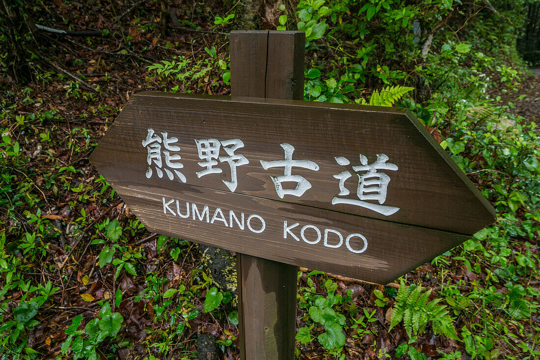 Kumano Kodo pilgrimage route around Takahara village. UNESCO World Heritage Site. Nakahechi. Wakayama Prefecture. Kii Peninsula. Kansai region. Honshü Island . Japan