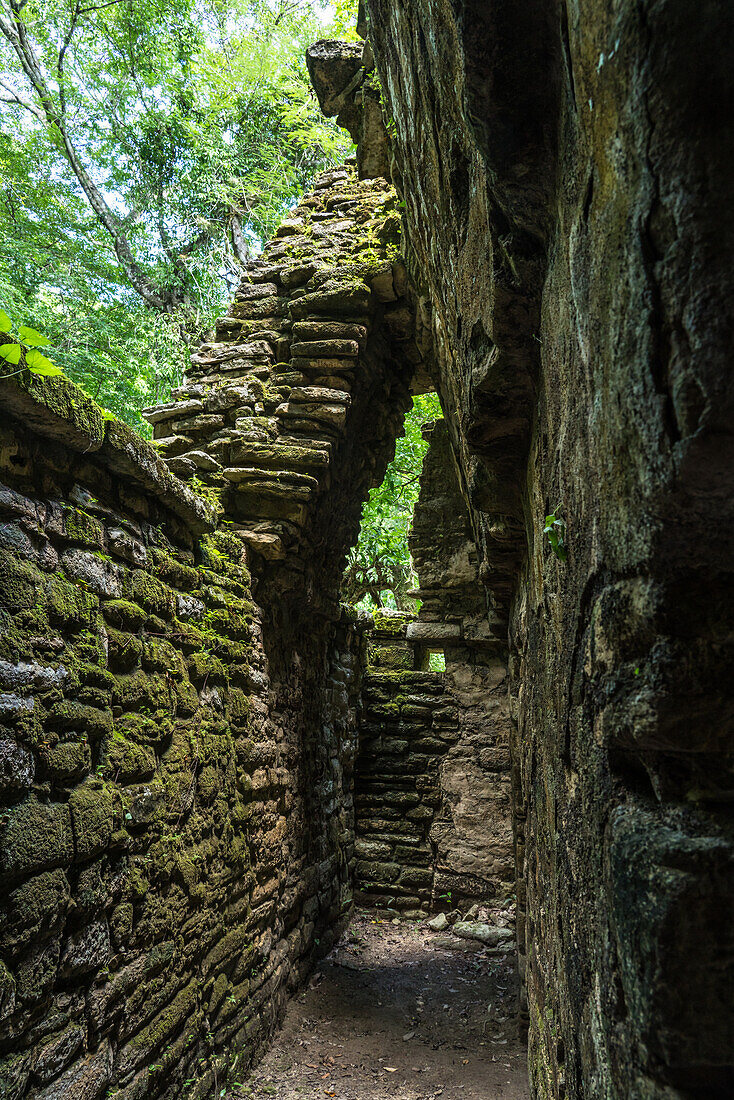 The interior of Temple 30, showing a corbeled arch, in the ruins of the Mayan city of Yaxchilan on the Usumacinta River in Chiapas, Mexico.