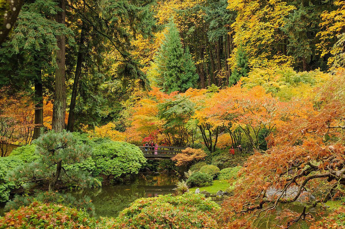 Japanischer Garten in Portland im Herbst; Portland, Oregon.