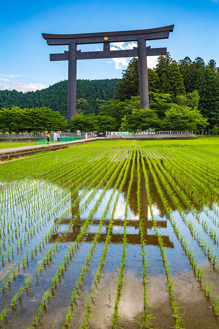 Kumano Kodo Pilgerweg. Otorii. Tori-Schreintor, das den Eingang zu Oyunohara markiert. Nakahechi. Präfektur Wakayama. Halbinsel Kii. Region Kansai. Honshü-Insel. UNESCO-Weltkulturerbe.