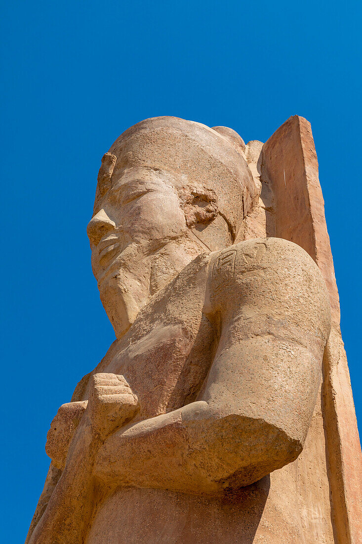 Statue im Luxor-Tempel, Luxor, Theben, UNESCO-Welterbestätte, Ägypten, Nordafrika, Afrika