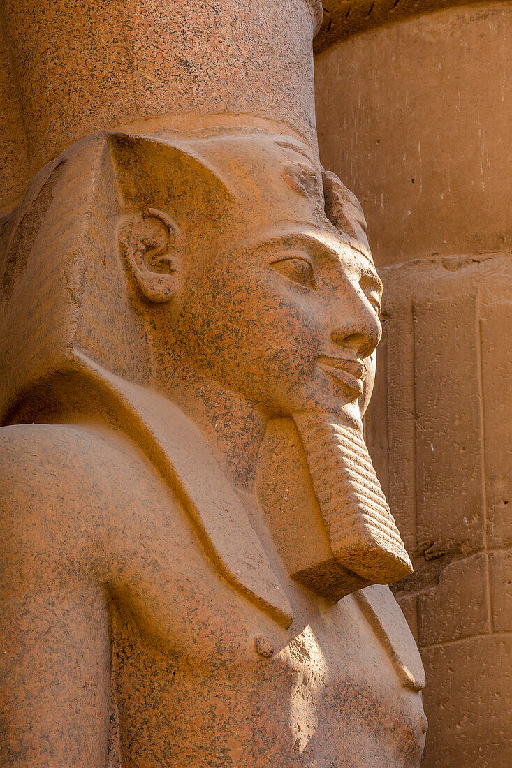 Statue von Ramses II., Luxor-Tempel, Luxor, Theben, UNESCO-Welterbestätte, Ägypten, Nordafrika, Afrika
