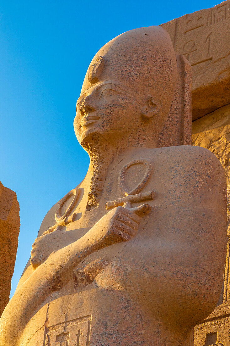 Statue at Karnak Temple, Luxor, Thebes, UNESCO World Heritage Site, Egypt, North Africa, Africa