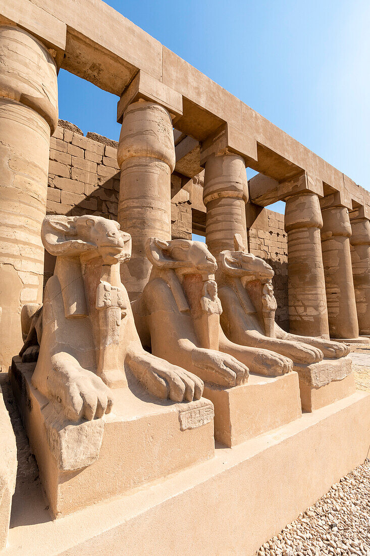 Die Allee der Sphinxen mit Widderkopf, Karnak-Tempel, Luxor, Theben, UNESCO-Welterbe, Ägypten, Nordafrika, Afrika
