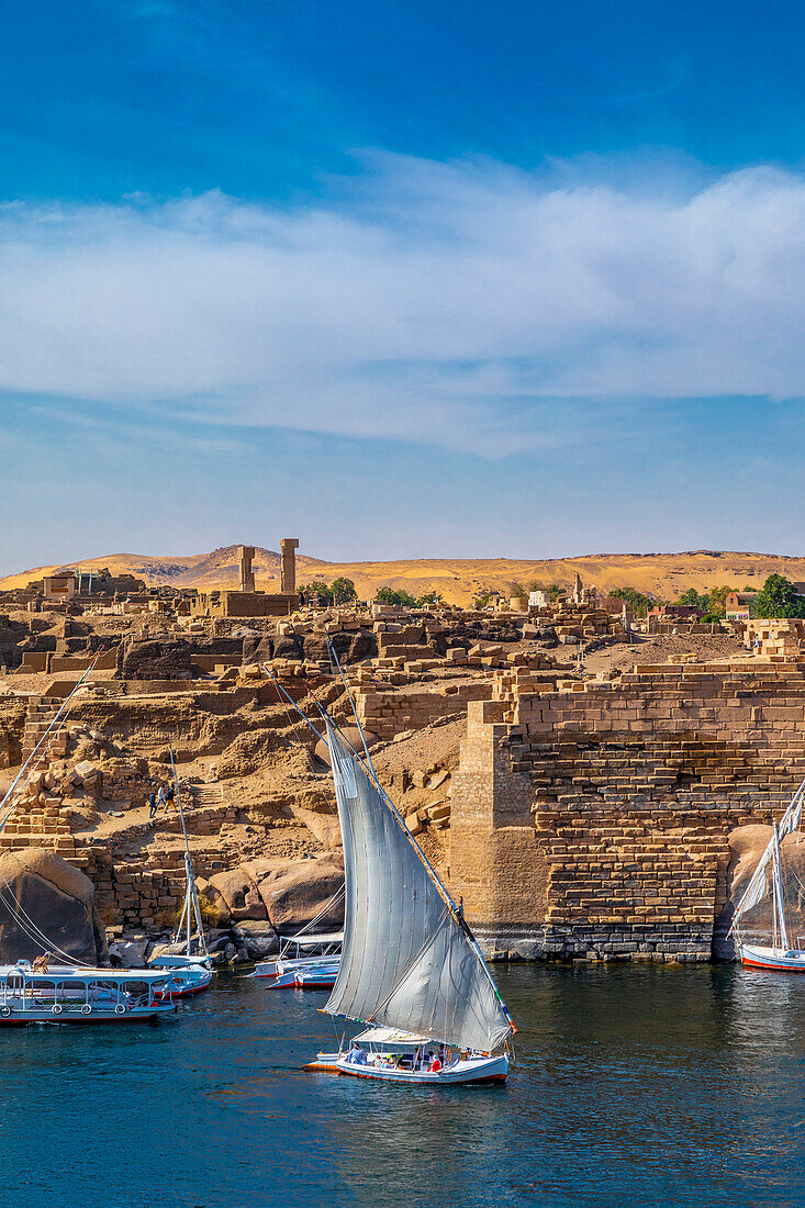 Feluccas auf dem Nil, Assuan, Ägypten, Nordafrika, Afrika