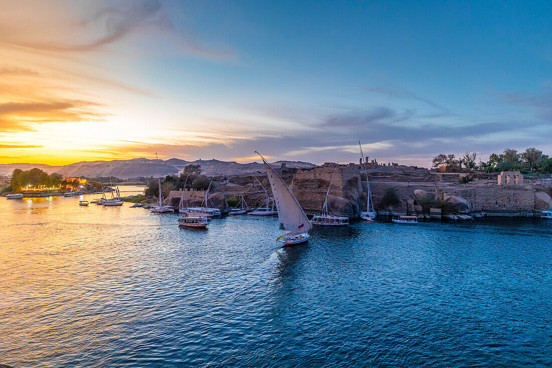 Feluccas on The River Nile at sunset, Aswan, Egypt, North Africa, Africa