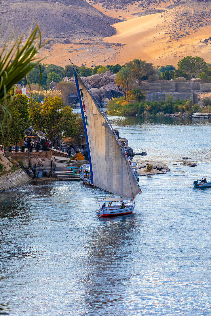 Feluken auf dem Nil, Assuan, Ägypten, Nordafrika, Afrika