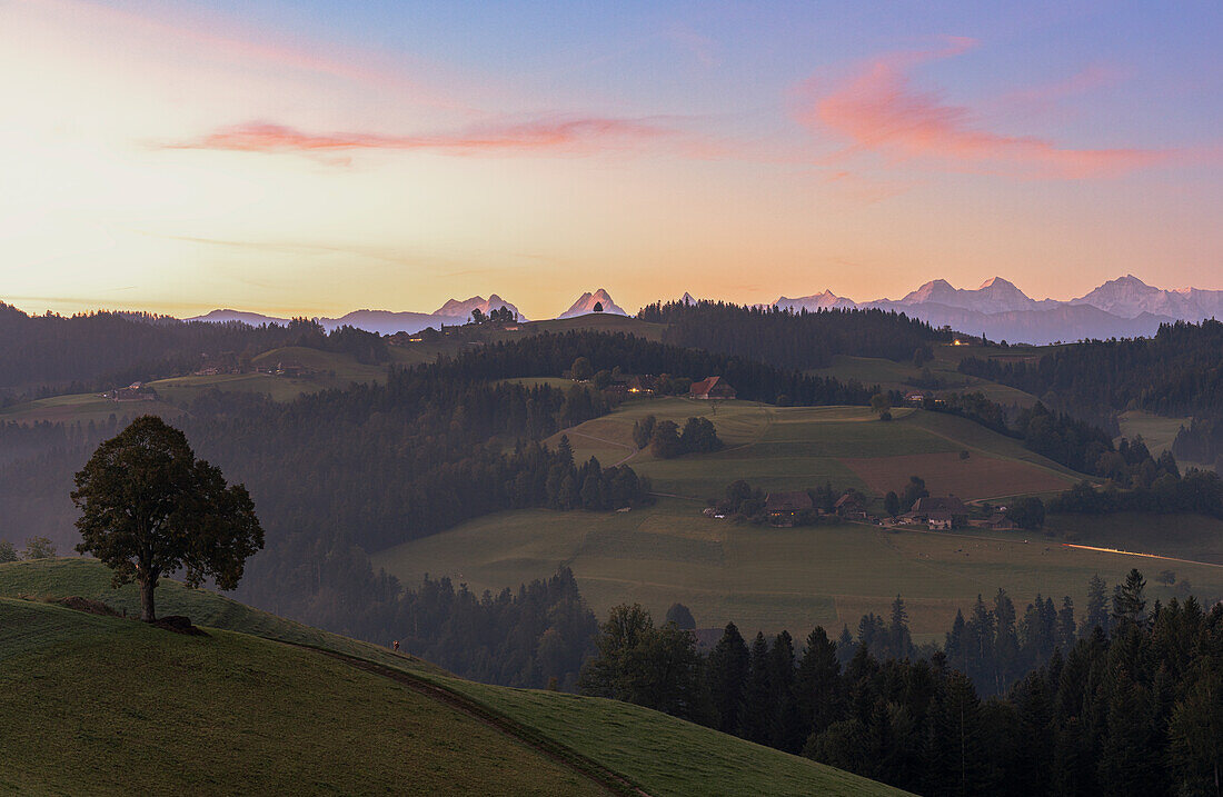 Grüne sanfte Hügel und Wald im Herbstnebel in der Morgendämmerung, Sumiswald, Emmental, Kanton Bern, Schweiz, Europa