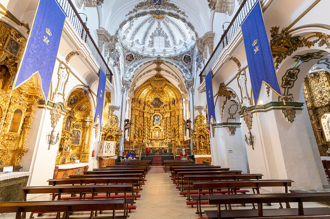 Innenraum der Iglesia San Francisco, Córdoba, Andalusien, Spanien, Europa