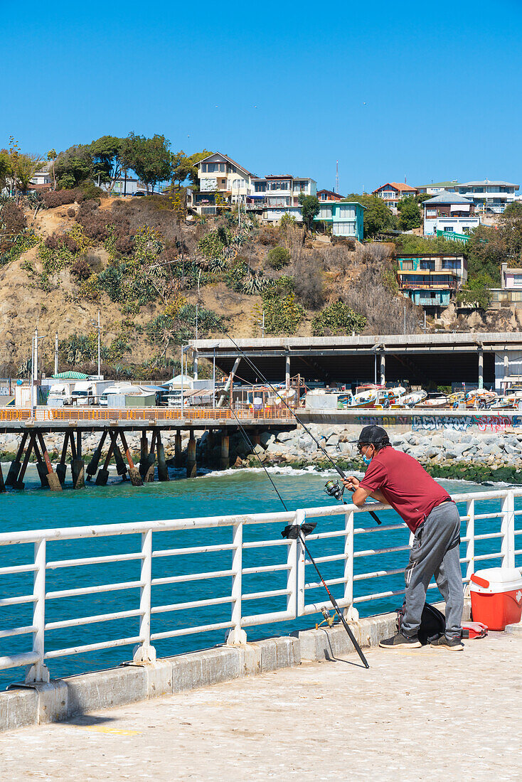 Fisherman fishing at pier, Caleta Portales, Valparaiso, Valparaiso Province, Valparaiso Region, Chile, South America