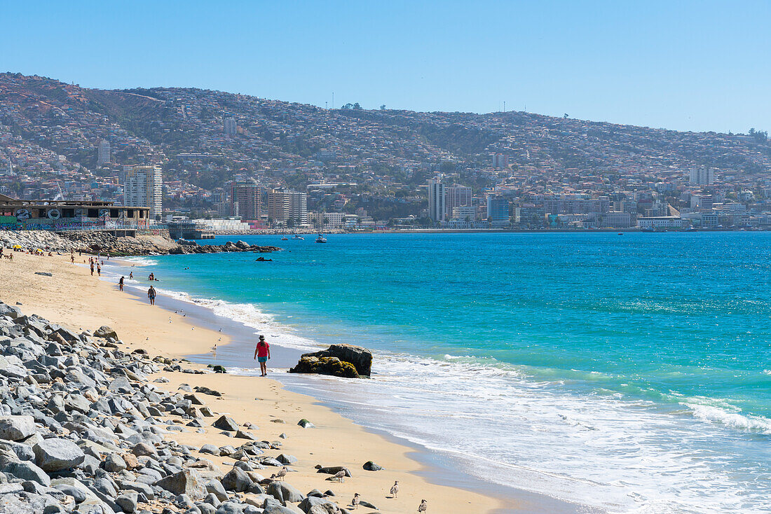 Strand Los Placeres an einem sonnigen Tag, Valparaiso, Provinz Valparaiso, Region Valparaiso, Chile, Südamerika