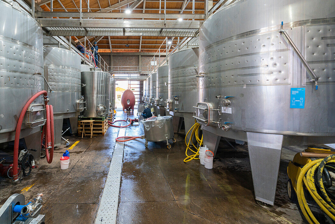 Fermentation tanks, El Principal winery, Pirque, Maipo Valley, Cordillera Province, Santiago Metropolitan Region, Chile, South America
