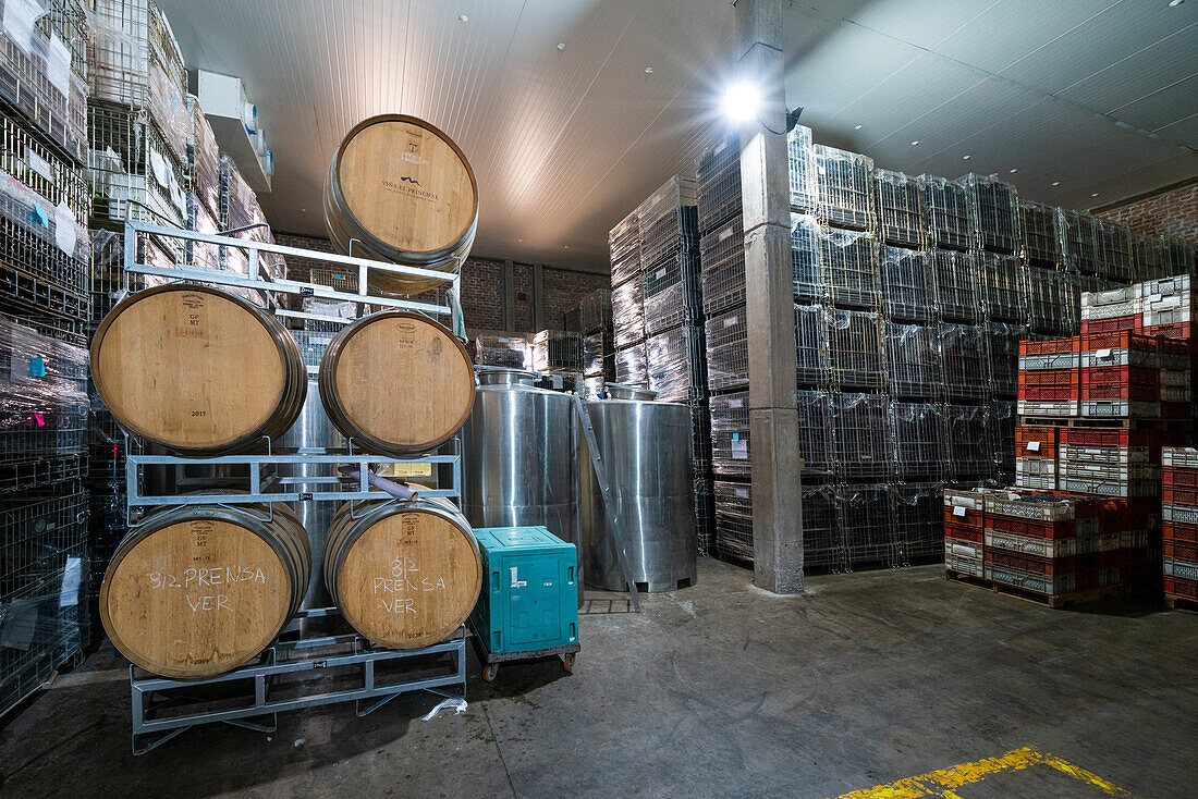 Wine cellar with barrels and crates with grapes, El Principal winery, Pirque, Maipo Valley, Cordillera Province, Santiago Metropolitan Region, Chile, South America