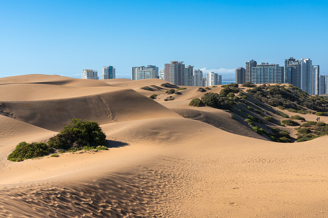 Sand dunes and residential high-rise buildings, Concon, Valparaiso Province, Valparaiso Region, Chile, South America