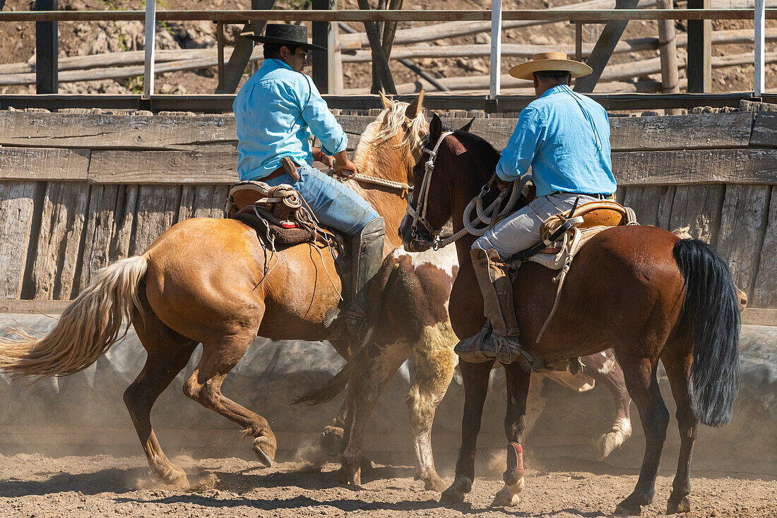 Chilenische Cowboys (huaso) beim Rodeotraining im Stadion, Colina, Provinz Chacabuco, Metropolregion Santiago, Chile, Südamerika