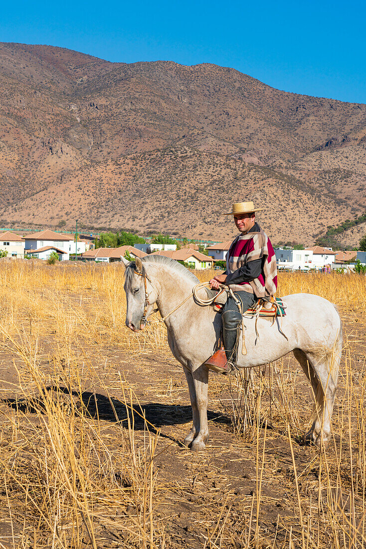 Traditionell gekleideter Huaso reitet auf einem Pferd auf einem Feld, Colina, Provinz Chacabuco, Metropolregion Santiago, Chile, Südamerika