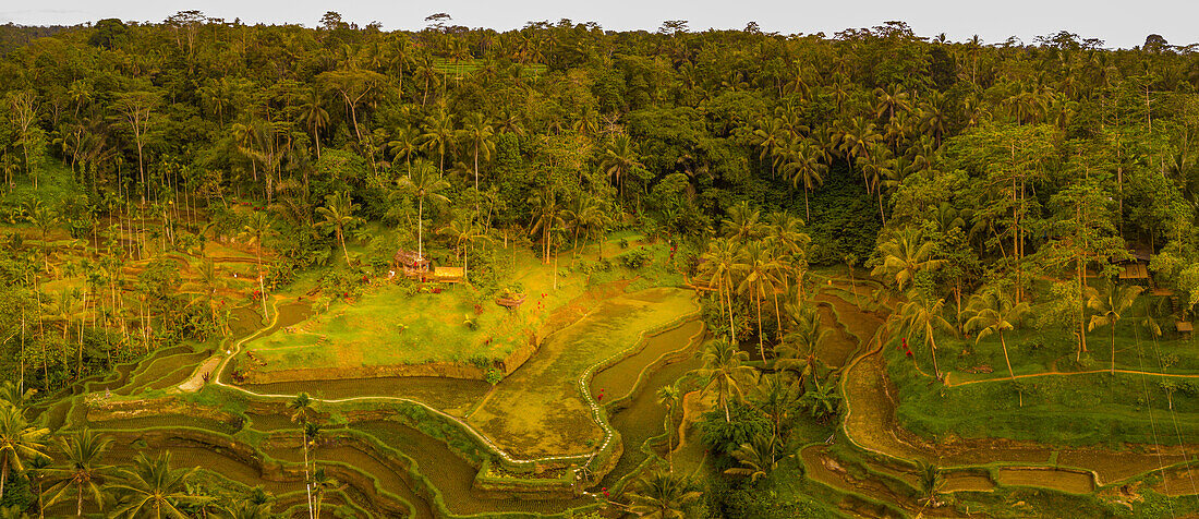 Panoramic aerial view of Tegallalang Rice Terrace, UNESCO World Heritage Site, Tegallalang, Kabupaten Gianyar, Bali, Indonesia, South East Asia, Asia