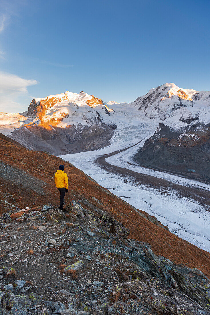 Wanderer steht auf einem Felsen und bewundert das Monte Rosa Massiv, den Gornergletscher und den Lyskamm bei Sonnenuntergang, Riffealp, Zermatt, Kanton Wallis, Schweizer Alpen, Schweiz, Europa