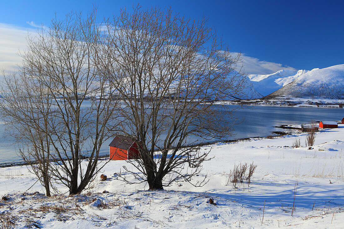 Rorbu und Fjord bei Sommaroy, Troms og Finnmark, Nordwest-Norwegen, Skandinavien, Europa