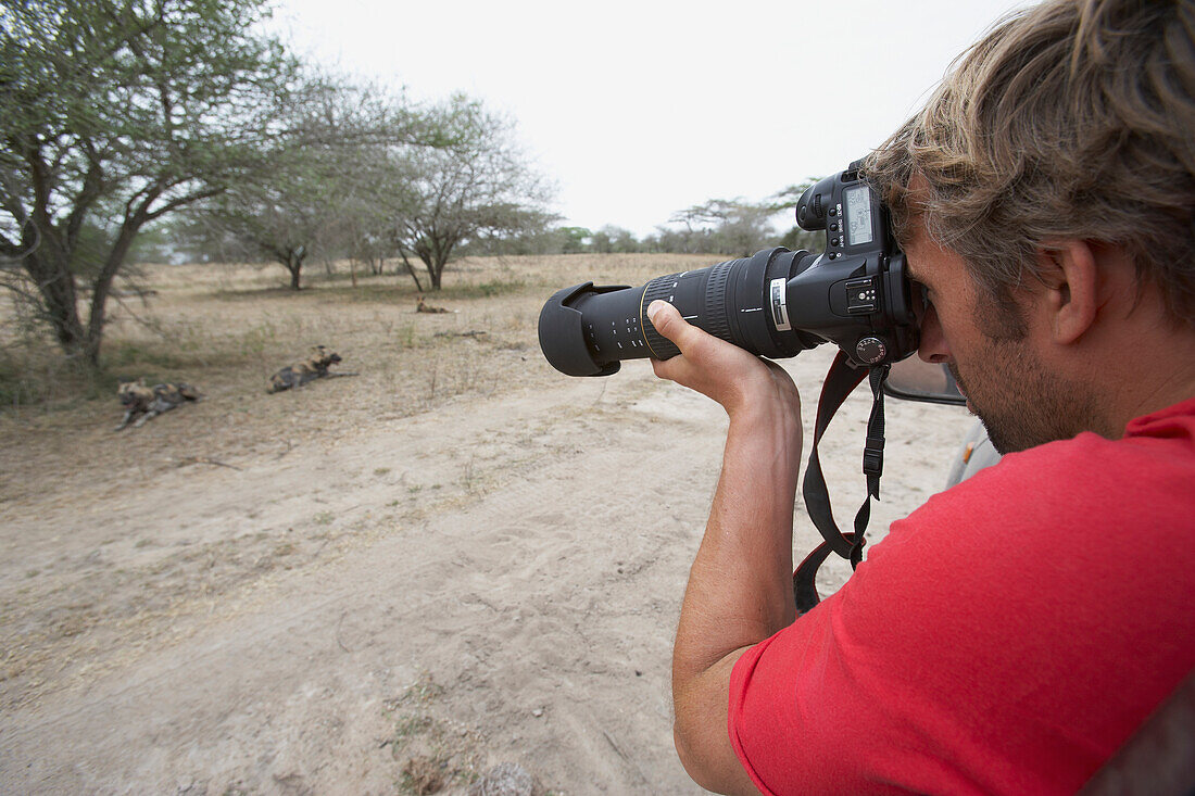 Männlicher Tourist fotografiert afrikanischen Wildhund auf Safari