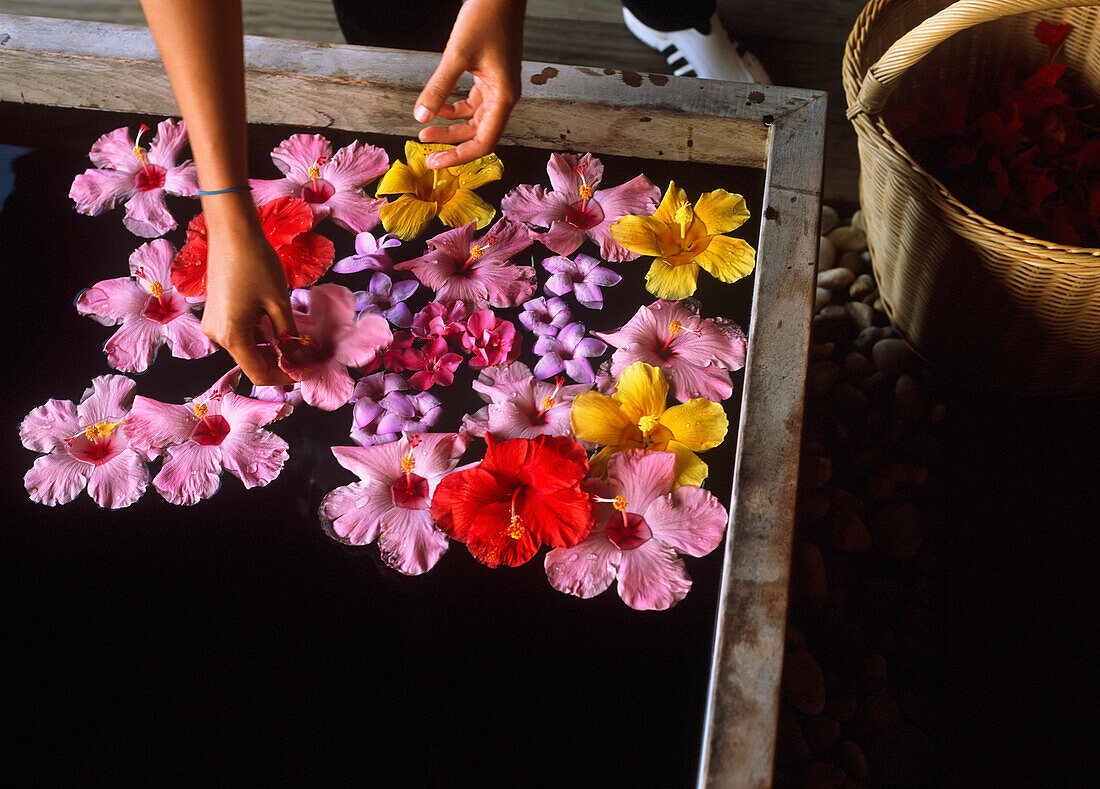 Putting Flowers In Bath, Close Up