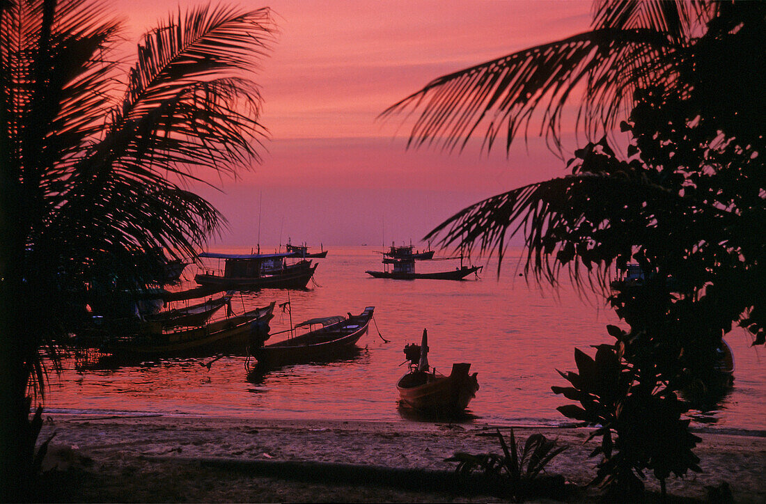 Silhouetted Boats Off Beach At Sunset