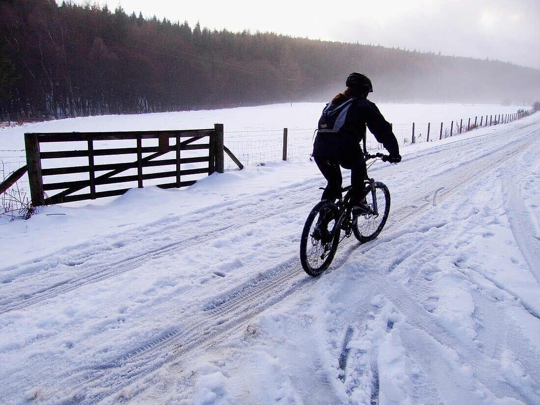 Ein einsamer Radfahrer auf einer verschneiten Landstraße
