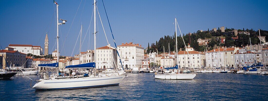 Boats Moored In Piran