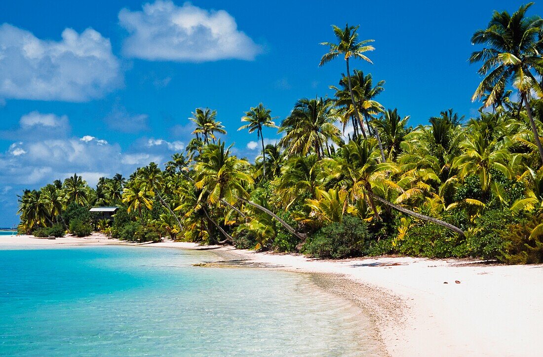 Palm Tree Lined Beach On Tapuae Tai Island