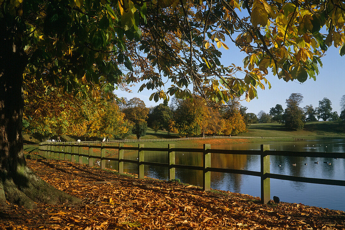 See und herbstliche Bäume im Studley Park