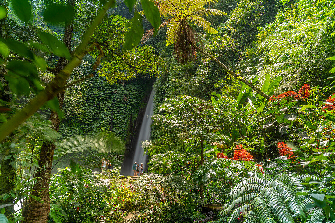 Blick auf den Melanting-Wasserfall, Kabupaten Buleleng, Gobleg, Bali, Indonesien, Südostasien, Asien