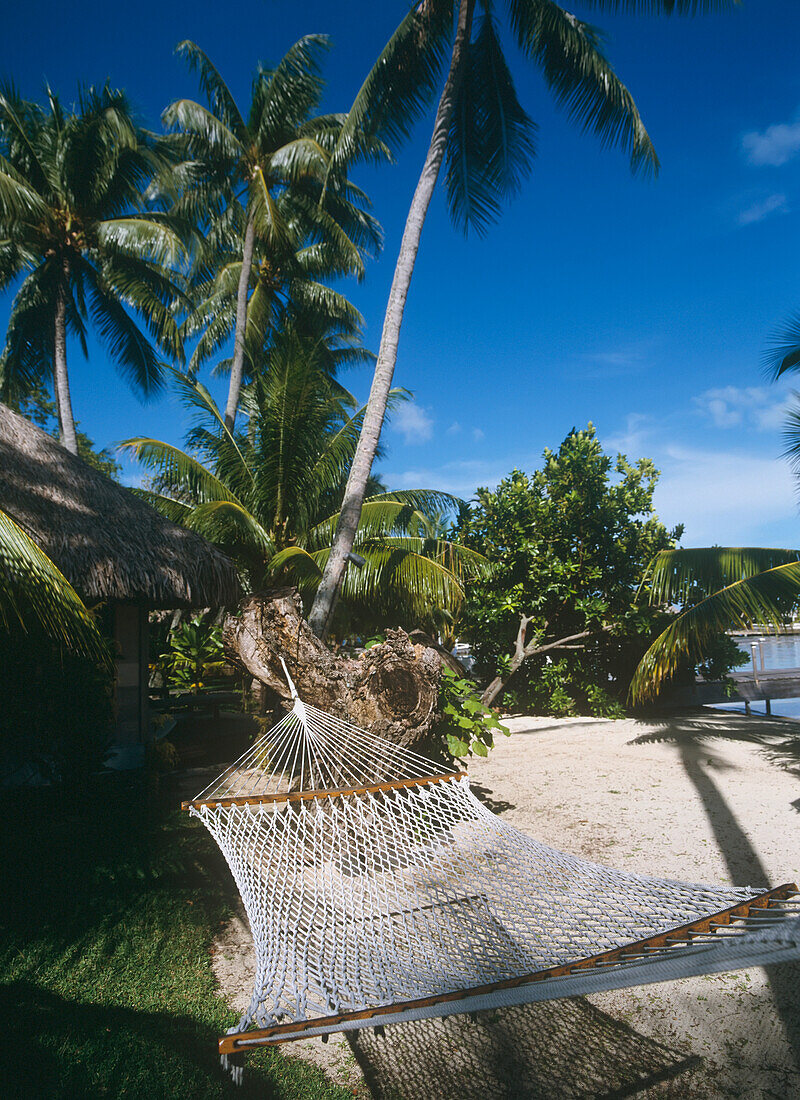 Leere Hängematte am Strand mit Palmen