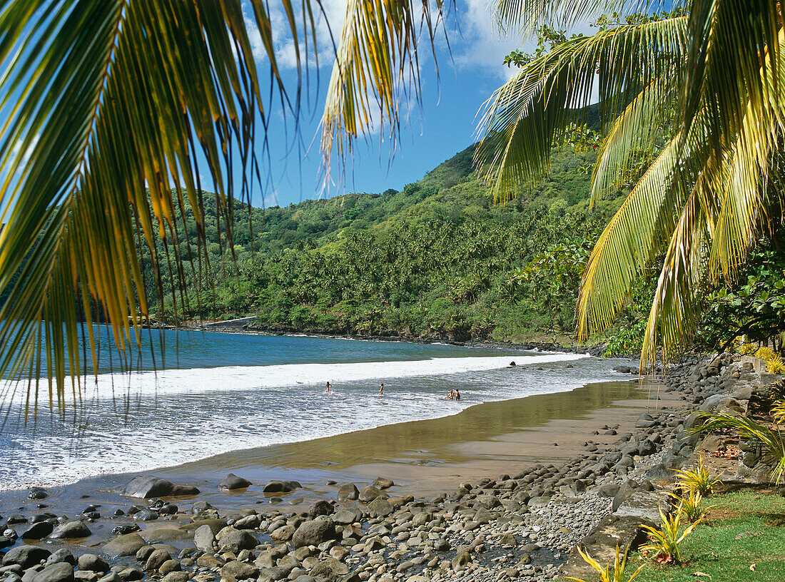 Blick durch Palmblätter auf Strand und baumbewachsene Berge