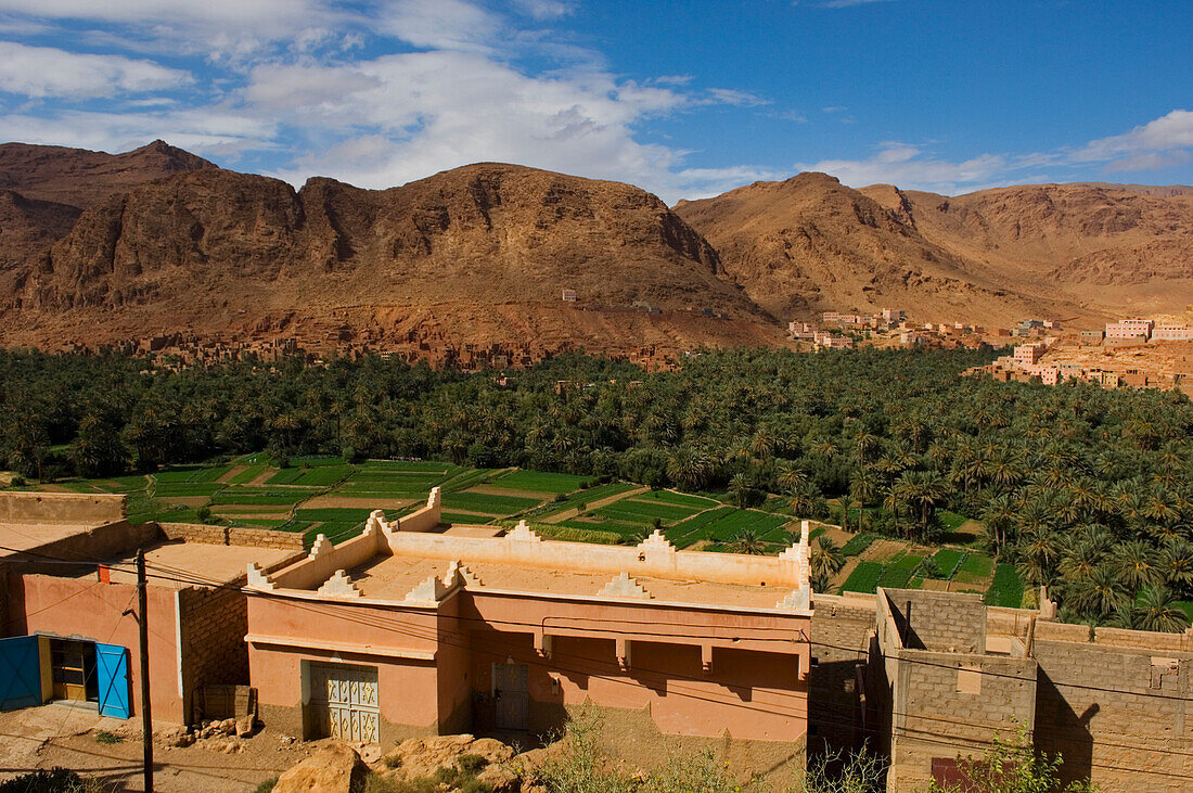 Todra Valley Across Palm Belt Of Tinerhir