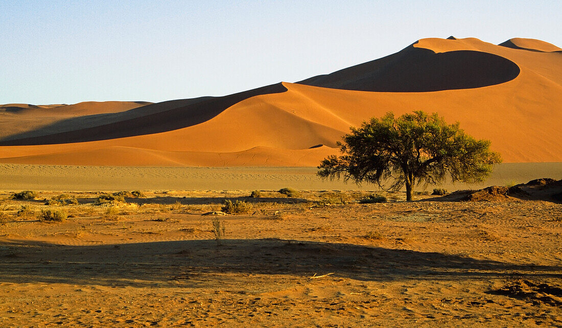 Wüstenlandschaft in Sossusvlei