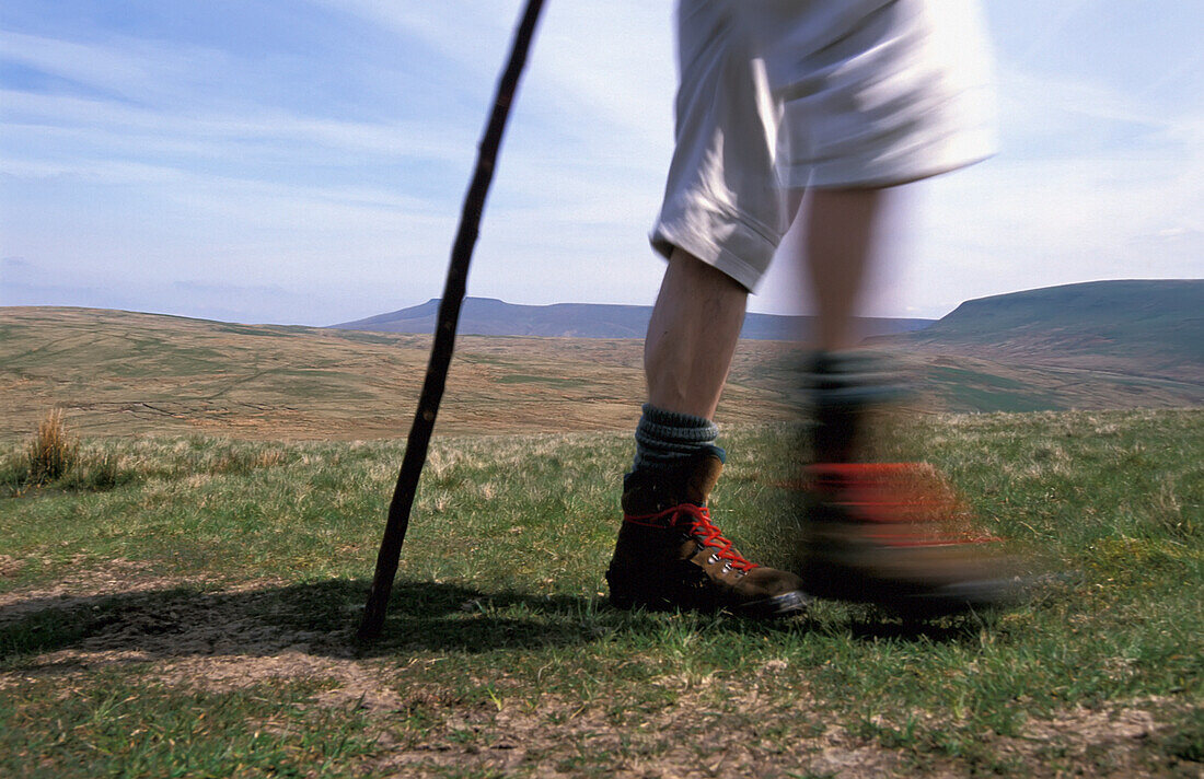 Hiker, Close Up