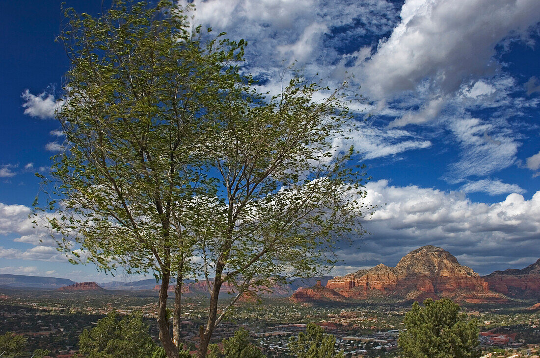 Coffepot Monolith In Red Rock Country.