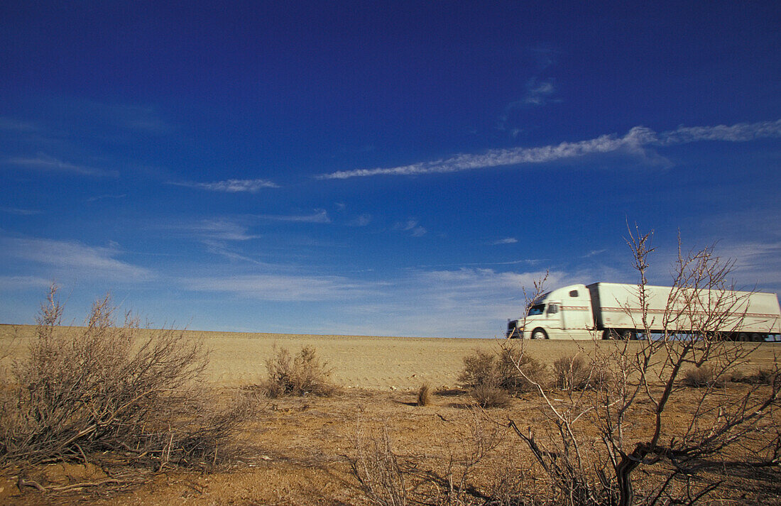 LKW fährt durch die Mojave-Wüste