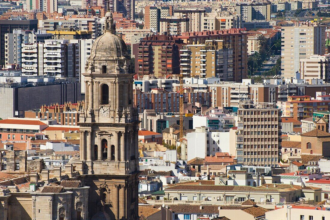 Malaga Cathedral Tower Above City