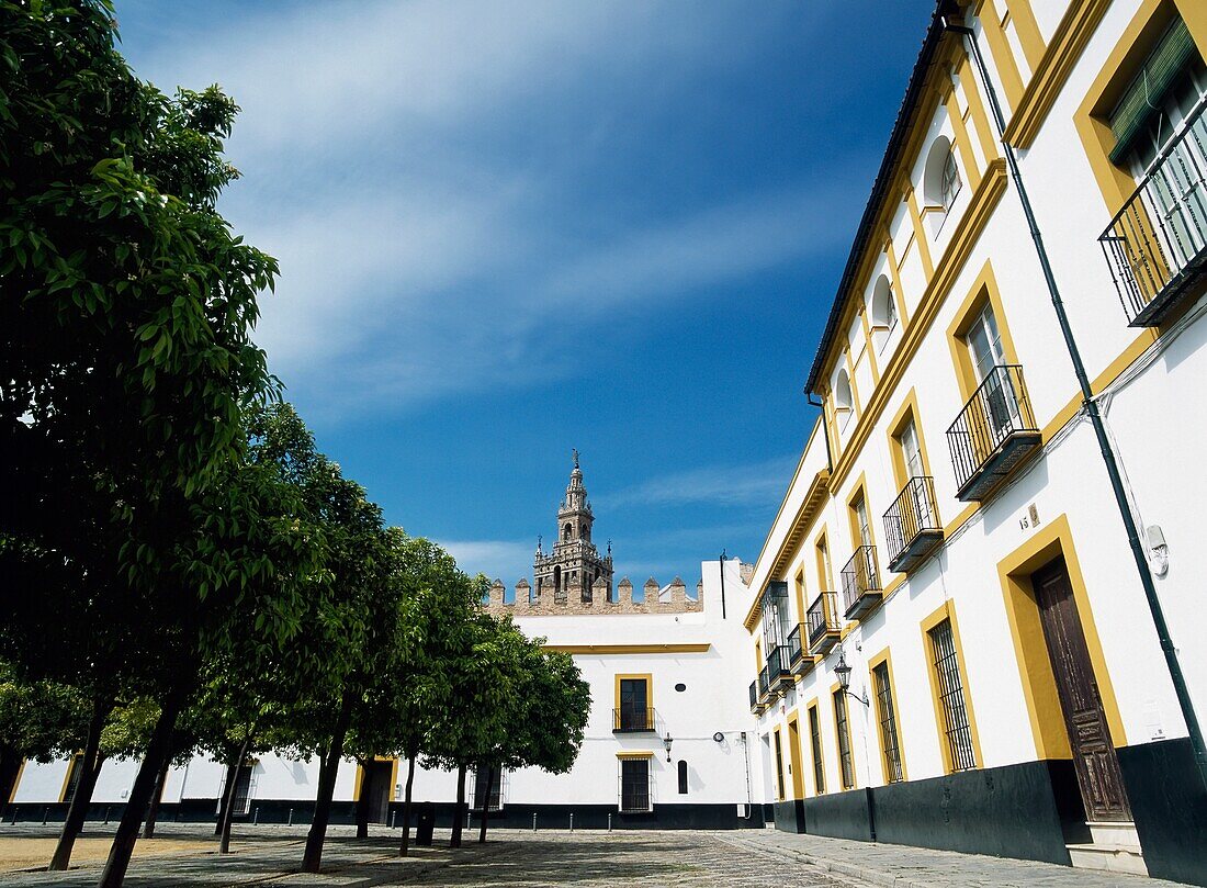 Innenhof mit Orangenbäumen und dem Gipfel von La Giralda in der Ferne