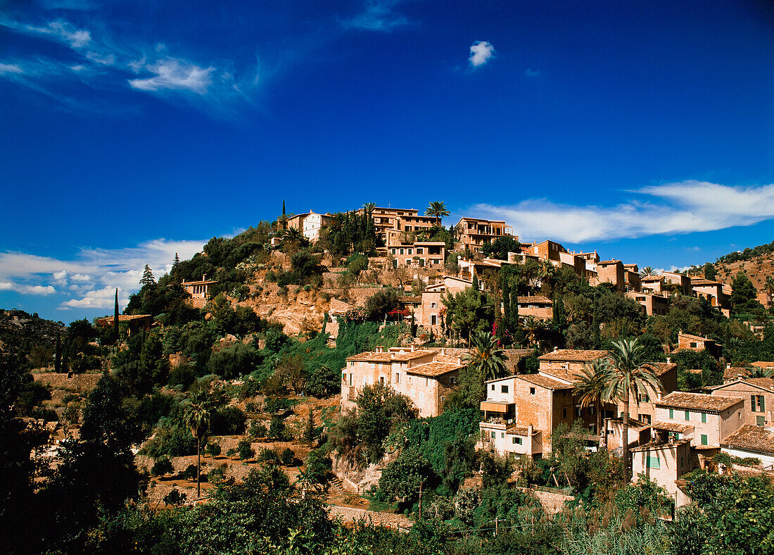 Residential Houses On Hillside